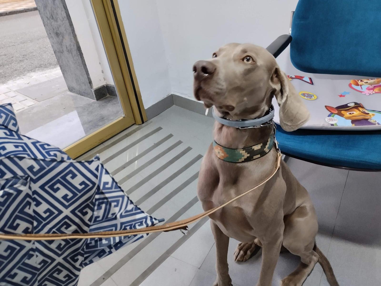 image_3BDF04ED4DAA4C