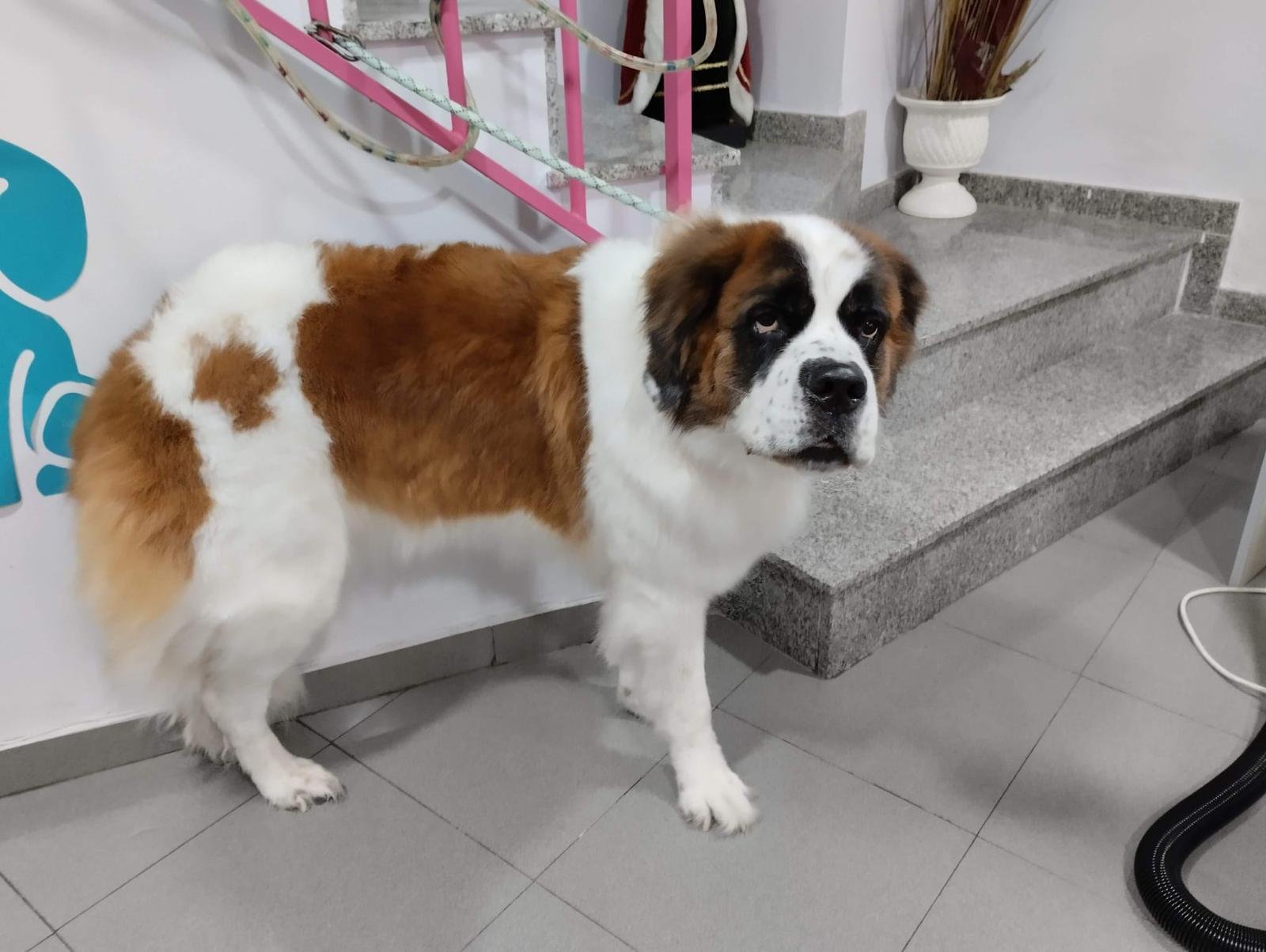 image_4A83055A889D0A