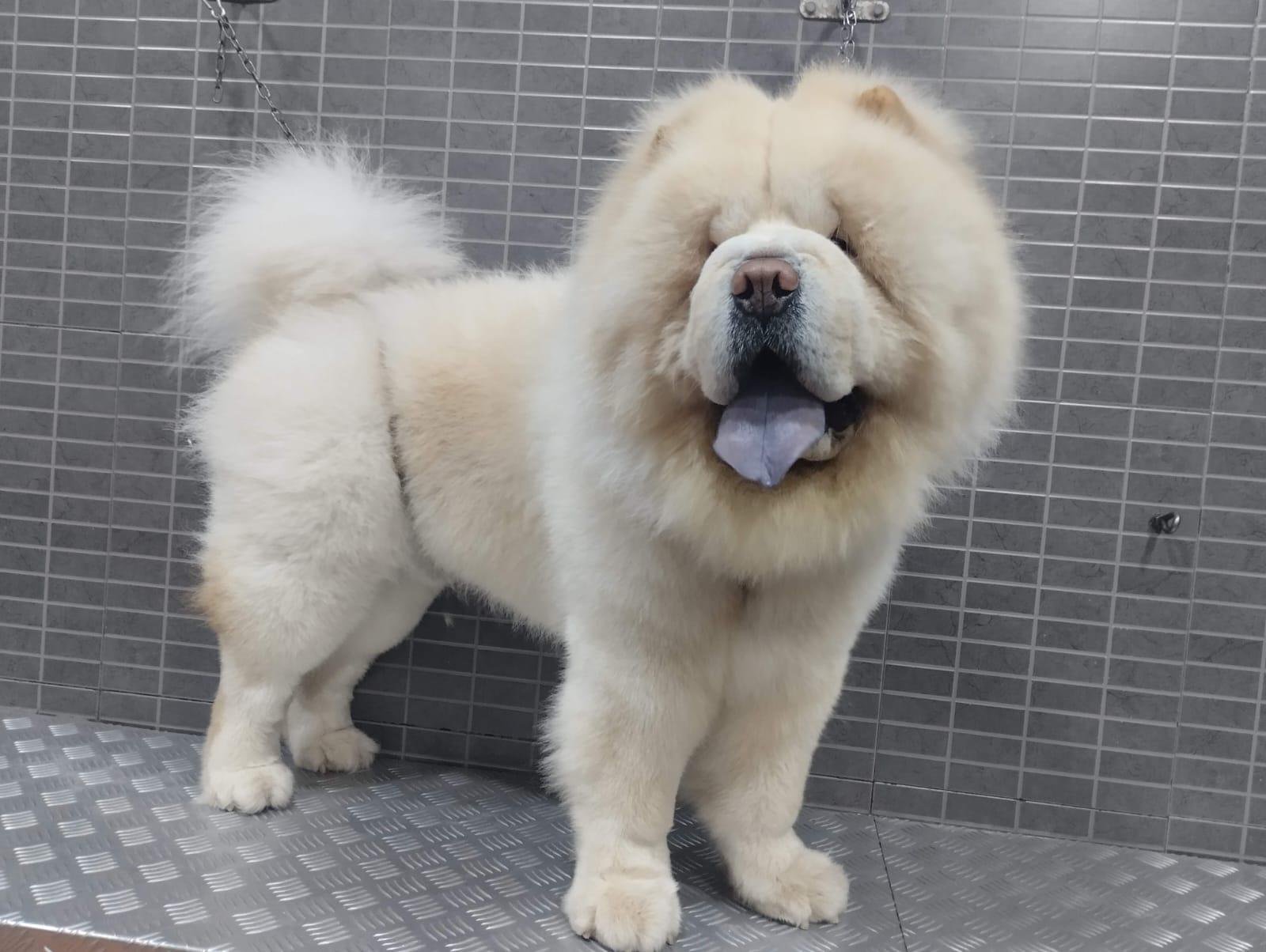 image_5F36B7B9582FC9