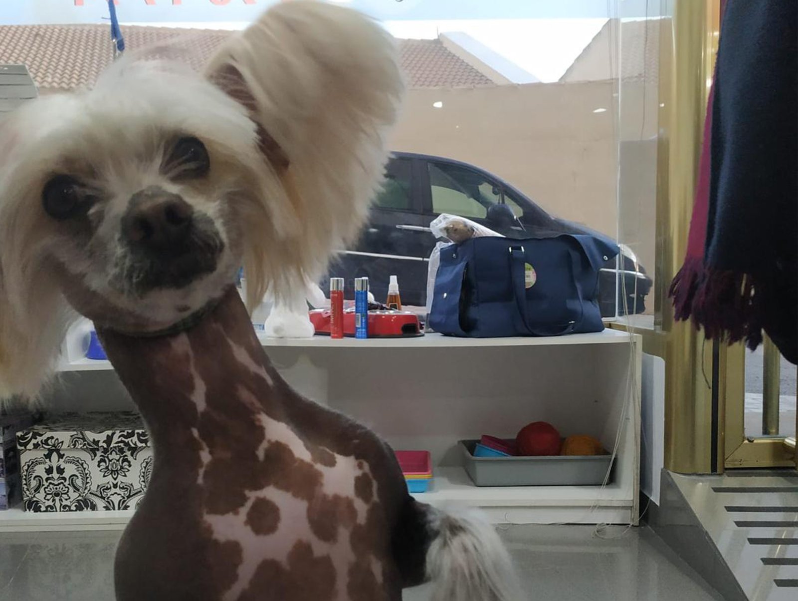 image_6FB26D48810148