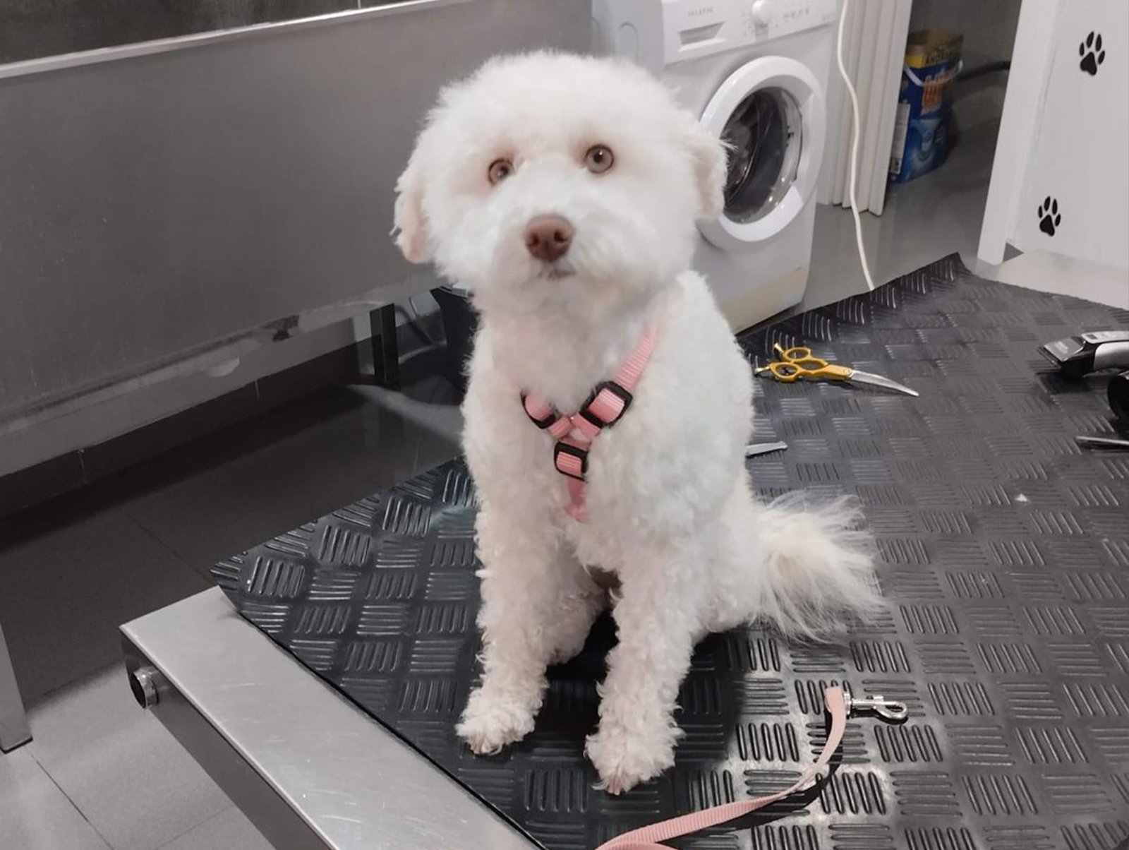 image_D2249F0A5BDDD8