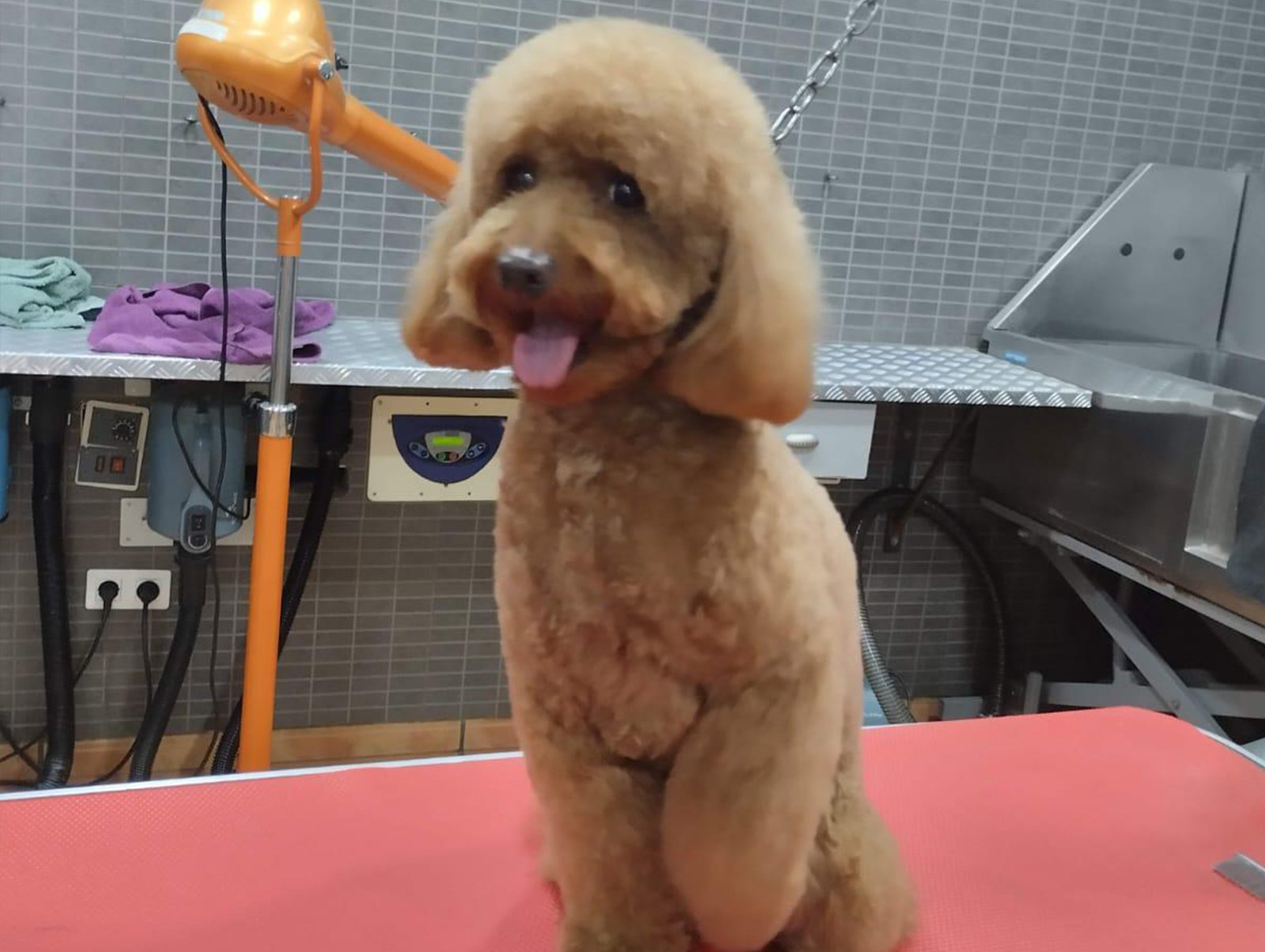 image_EDB497FC1C7893